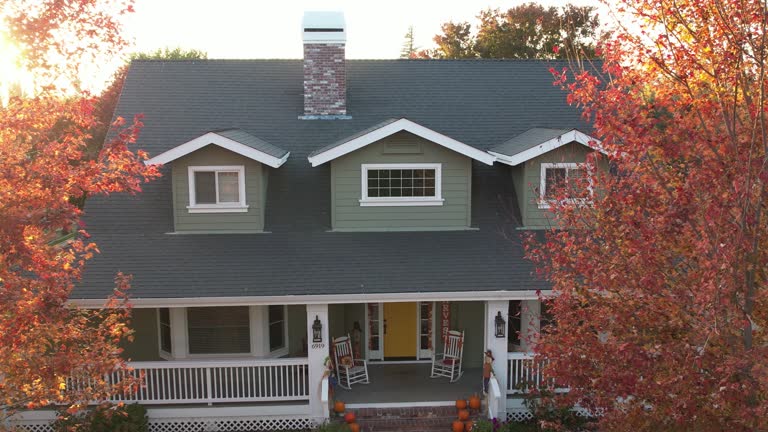 Roof Insulation in Vidalia, GA
